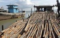 Polair Polda Riau Amankan 1.300 Kayu Bakalu Ilegal